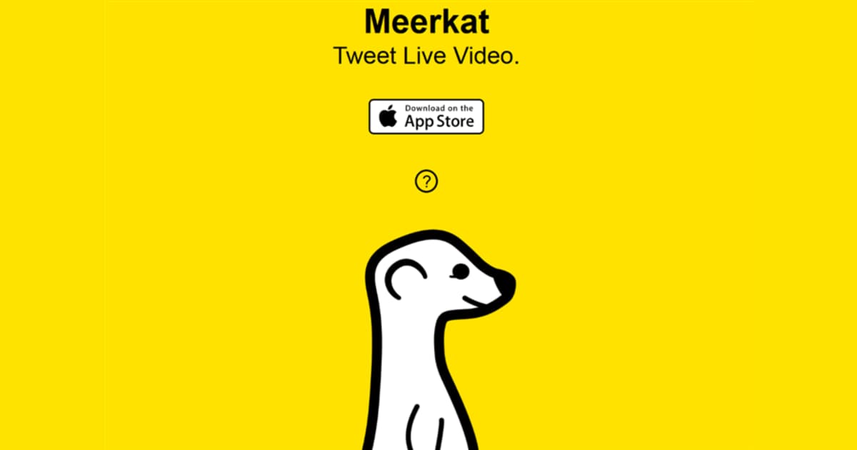 Meerkat in 2015