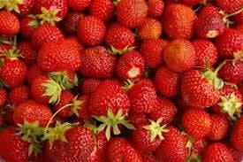 La fraise (strawberries)