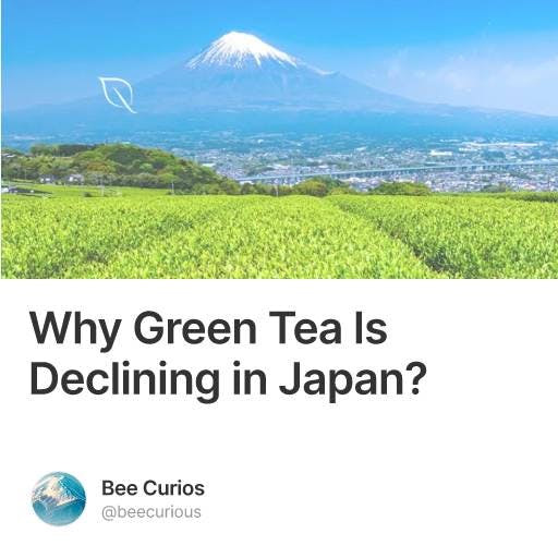 Bee Curios | Why Green Tea Is Declining in Japan?