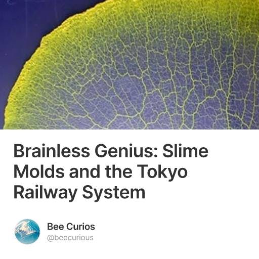 Slime Molds and the Tokyo Railway System