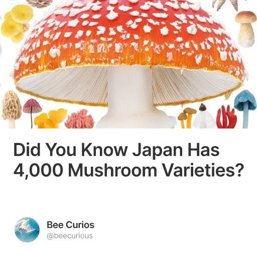 Did You Know Japan Has 4,000 Mushroom Varieties?