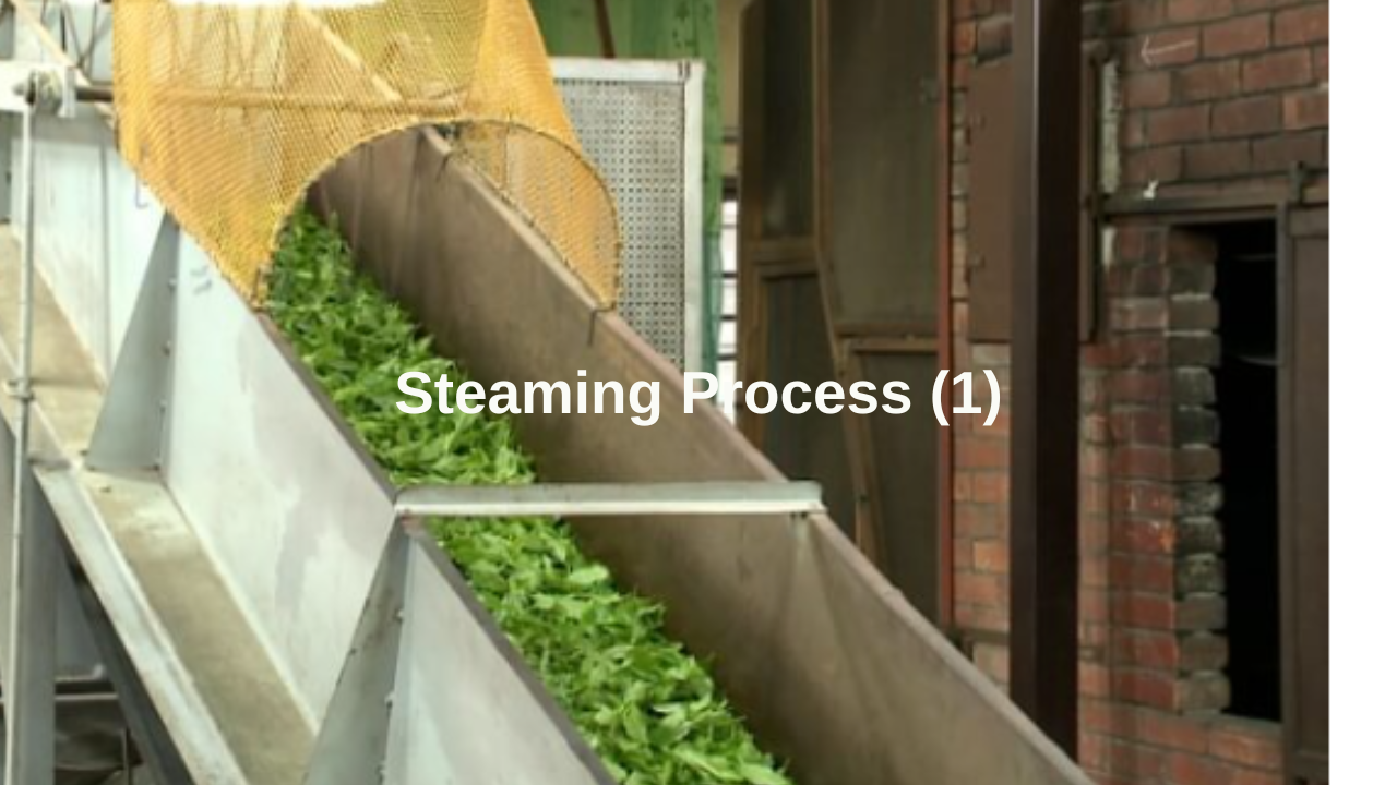 Steaming Process Part 1