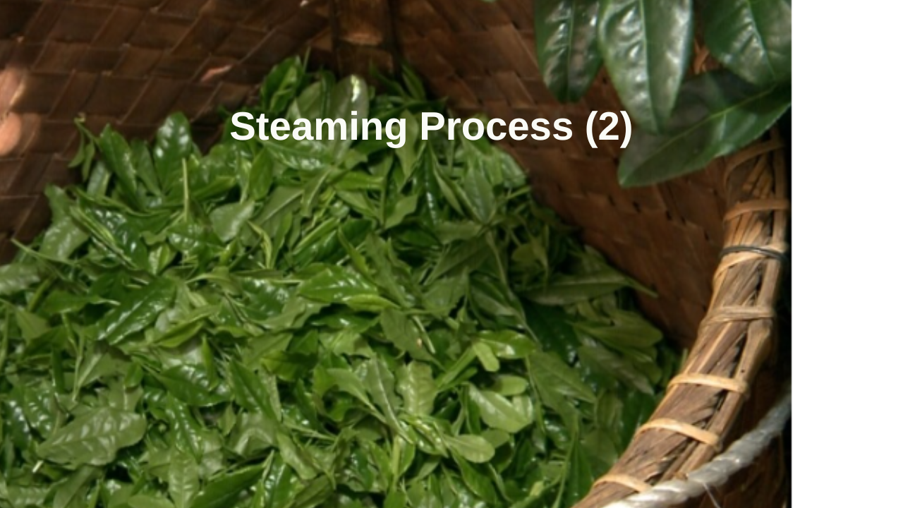 Steaming Process Part 2