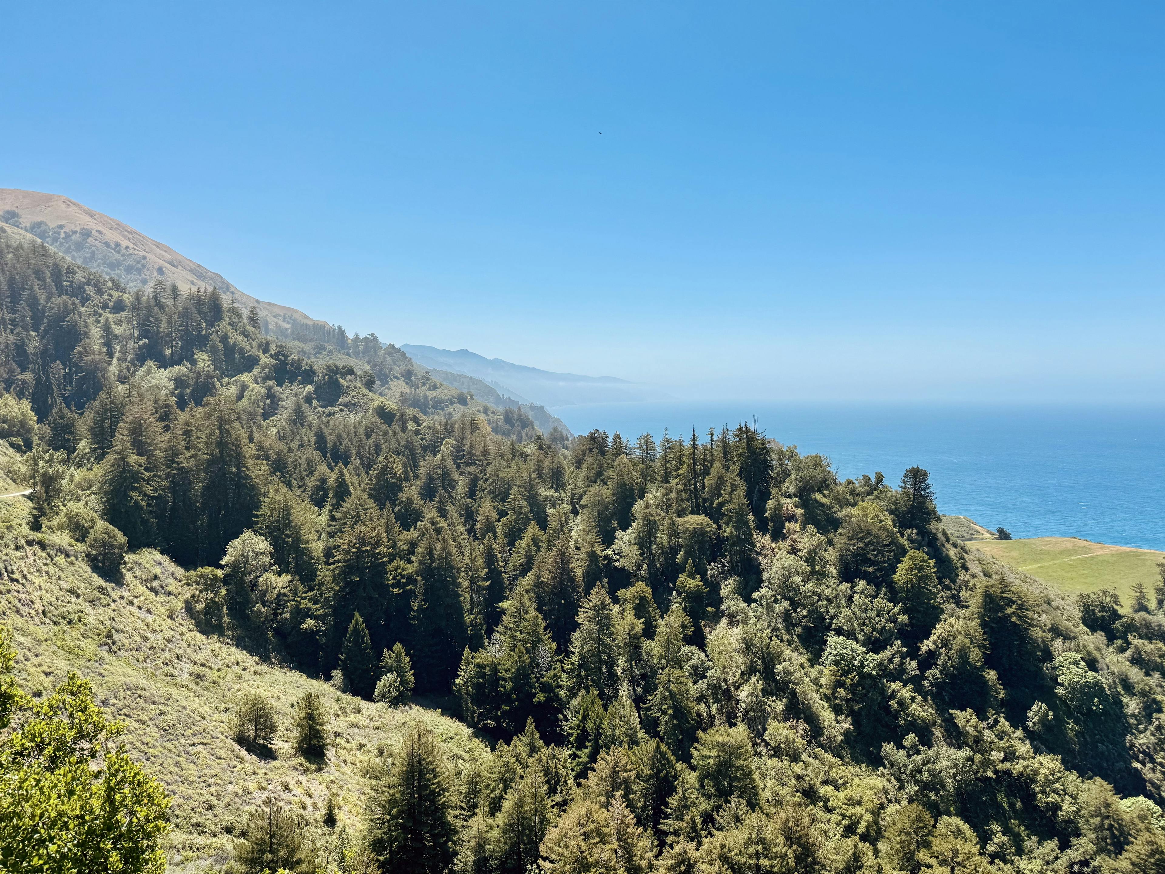 Pfeiffer Big Sur State Park