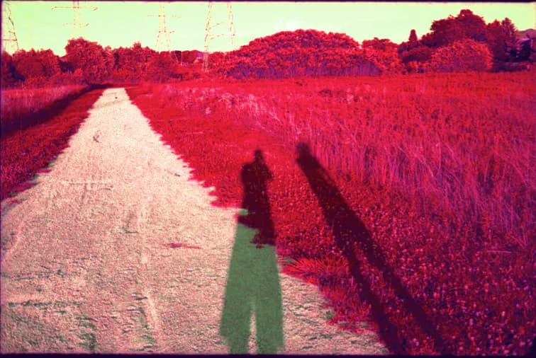 Casting shadows on inferred fields