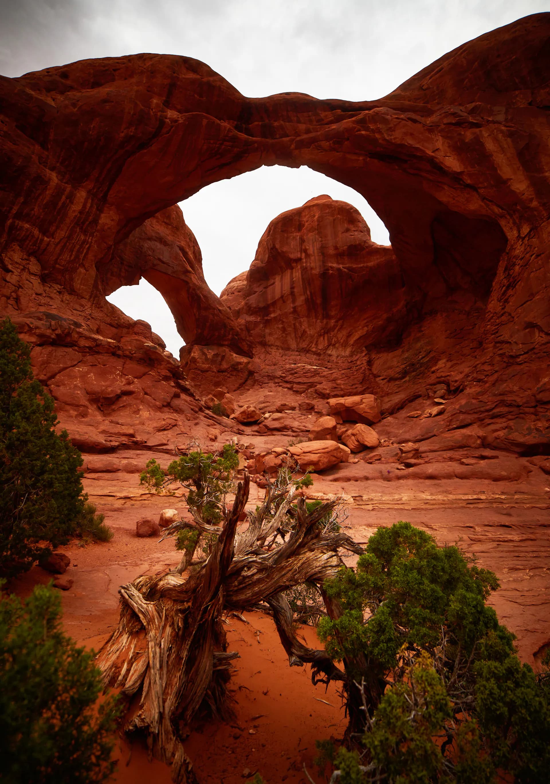 Double Arch