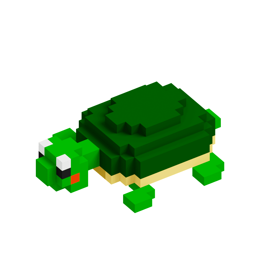 Turtle